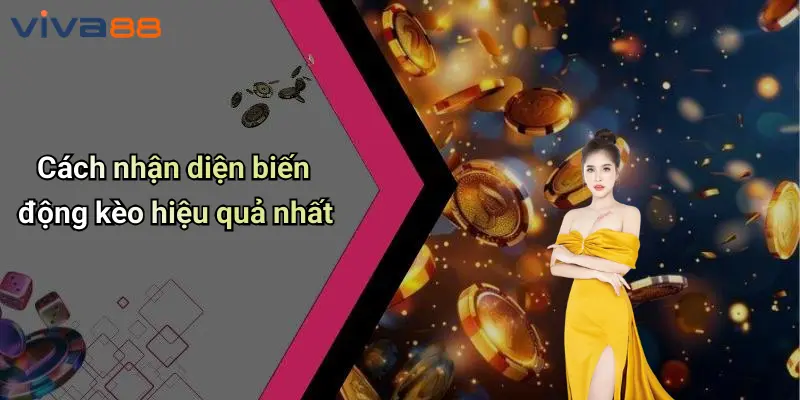 Phân Tích Biến Động Kèo